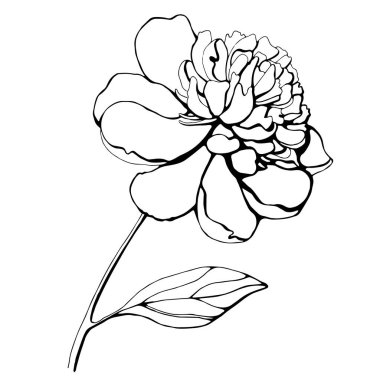 El yapımı güzel şakayık. Daha eğik