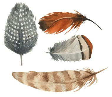 El yapımı suluboya canlı tüy seti. Boho tarzı. Beyazda izole edilmiş bir resim. Tişört, davetiye, düğün kartı için kuş sineği tasarımı. Parlak renkler..