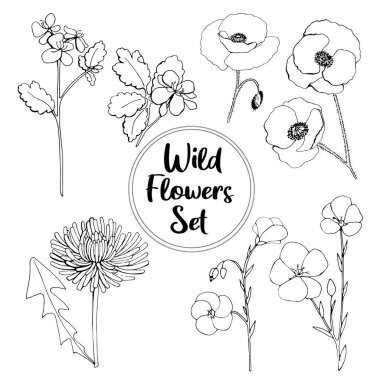 El çizimi güzel Wild Flower Set keten, karahindiba, devedikeni, takvim. Daha eğik