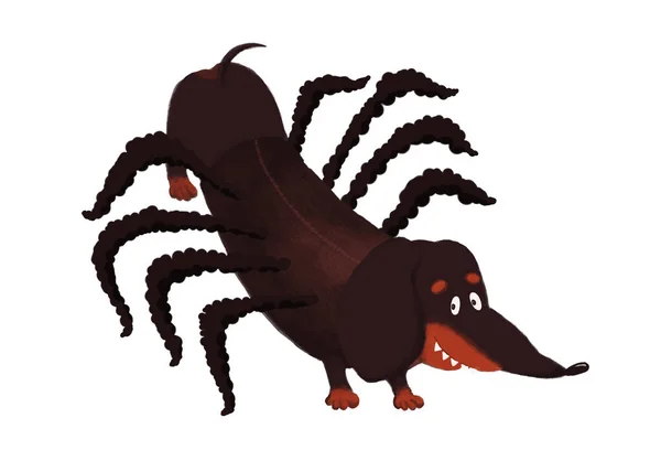 Funny Halloween Dachshund Dog Spider Costume — Stock Photo, Image