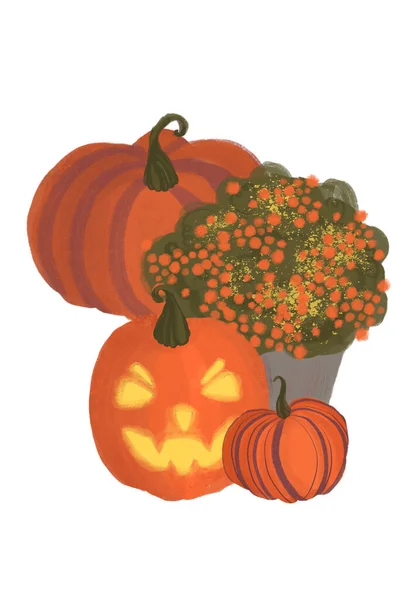 Binnen Buitenlandschap Tuin Potplanten Pompoenen Witte Achtergrond Halloween Decoraties — Stockfoto