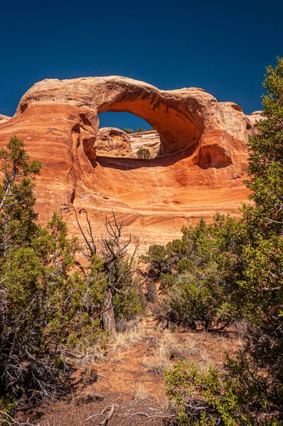 Een Prachtige Natuurlijke Boog Een Afgelegen Colorado Canyon — Stockfoto