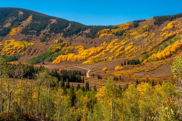 Colorado 'daki uzak dağlardaki altın kavak ağacının manzarası..