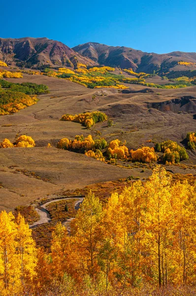 Осины Пылают Золотом Цвете Видом Долину Возле Крестед Бьютт Колорадо — стоковое фото