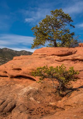 Canon City, Colorado yakınlarındaki derin bir kanyonun kenarından güzel bir manzara Rocky Dağları 'nın ön aralığında.