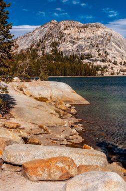 Tenaya Gölü kıyısındaki Yosemite Ulusal Parkı 'nın güzel engebeli manzarasının fotoğrafı..