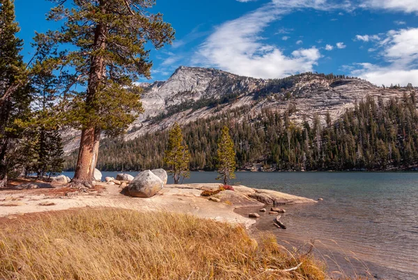 位于Tenaya湖蓝色水面之上的Yosemite国家公园秀丽的群山和雄伟的松树 — 图库照片