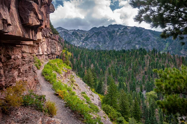急降下の写真は コロラド州ウエイ周辺の6マイルハイキングトレイルである境界線トレイルに沿って1つのハイキングとして避ける必要があります — ストック写真