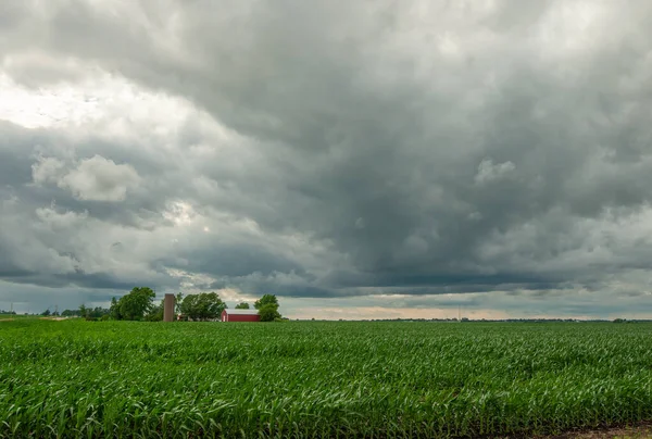 Moody Skies Summer Day Hang Beautiful Fertile Farm Country Iowa — Photo