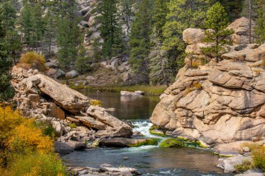 A rushing mountain stream cascading down the mountain sides in 11 Mile Canyon in Colorado.