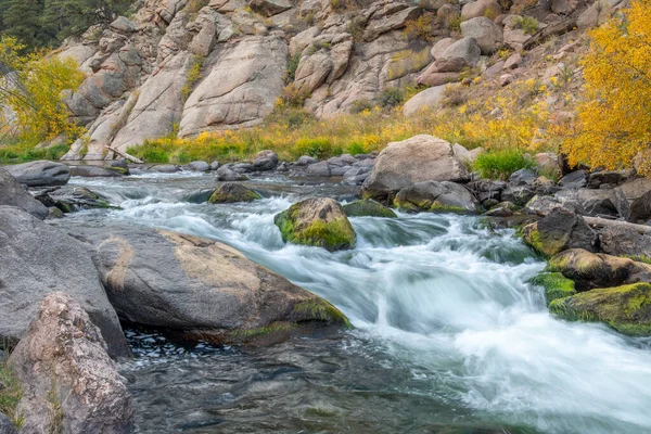 科罗拉多州11英里峡谷的一条山溪从山坡上奔流而下 — 图库照片