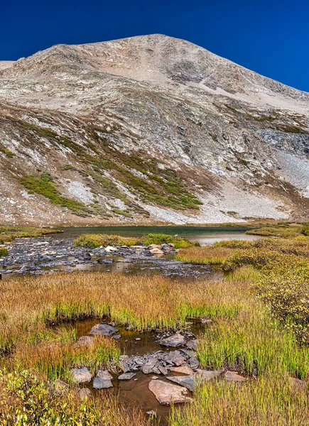小さな高山湖と緑豊かな葉を持つ荒野のシーンの美しい風景ショット — ストック写真