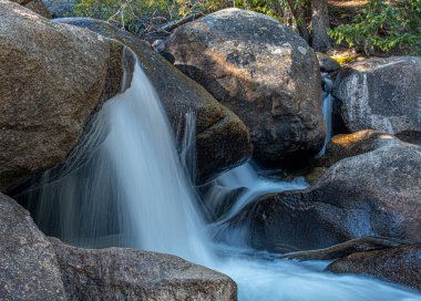 Bu Colorado dağ deresinin akan suları mükemmel bir pozla yakalanan güzel bir örtüyü oluşturur..