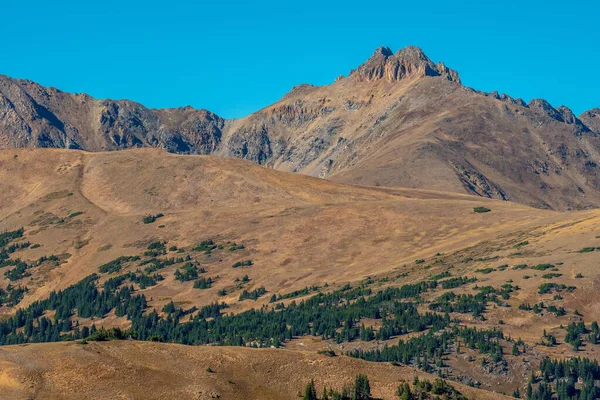コロラド州ブレッキンリッジ近くのラブランド峠からの山の景色は雄大な山々と高山の生息地を示しています — ストック写真