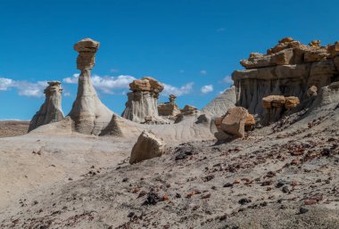 New Mexico, Bista Çorak Toprakları 'nda uzun bir yürüyüşün ödülü bu çılgın eşsiz jeolojik oluşumlar ve gözün görebildiği kadar taşlaşmış ağaçlardır..
