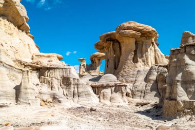 New Mexico, Bista Çorak Toprakları 'nda uzun bir yürüyüşün ödülü bu çılgın eşsiz jeolojik oluşumlar ve gözün görebildiği kadar taşlaşmış ağaçlardır..