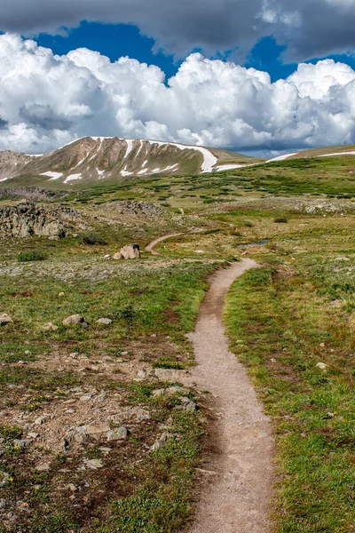 科罗拉多州独立山口的一条远足小径蜿蜒而去 在令人惊奇的夏日天空下滑向高山荒野 — 图库照片