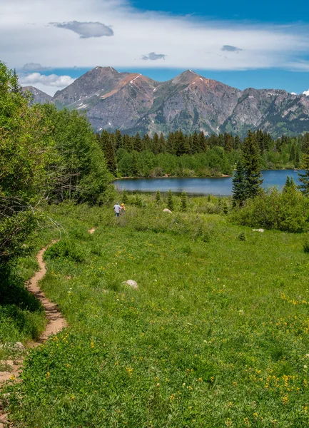 Een Prachtig Wandelpad Door Colorado Bergen Buurt Van Lost Lake — Stockfoto
