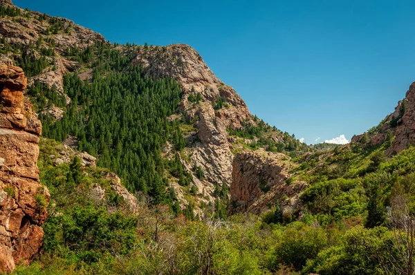 コロラド州クリップル クリーク近くの標高が高くなると フォーマイル クリークによって形成された美しい渓谷の国 — ストック写真