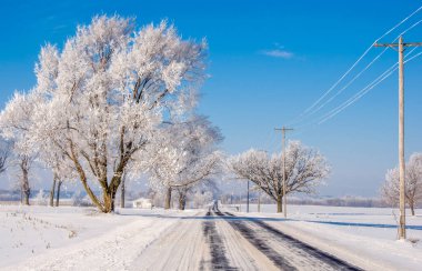 Buzlu ağaçların fotoğrafı bir sabah erken saatlerde Wisconsin 'de karlı bir yolda bulundu..