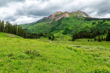 Colorado, Crested Butte 'un kuzeyindeki dağların yaz ortasında çok güzel bir manzara..