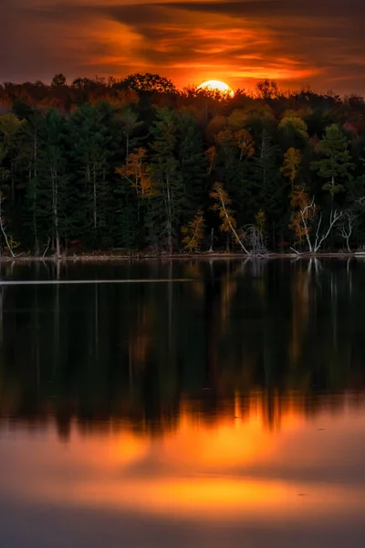 在收获季节 月亮升起在一片北方森林湖畔秋天五彩缤纷的树上 — 图库照片