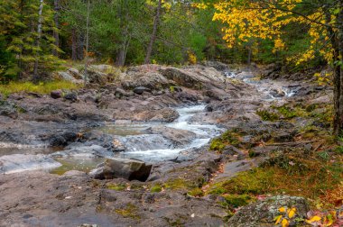 Amnicon Nehri Wisconsin 'deki Amnicon Falls Eyalet Parkı' ndan geçerken çeşitli nehir özelliklerine sahiptir..