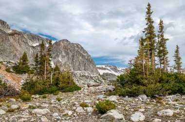 Güney Wyoming 'in güzel ve engebeli Medicine Bow Dağları' nın yaz ortası manzarası..