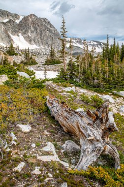 A mid-summer view of the Snowy Range of the beautiful and rugged Medicine Bow Mountains of southern Wyoming. clipart