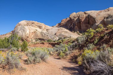 Utah ve Colorado 'daki Dinozor Ulusal Anıtı