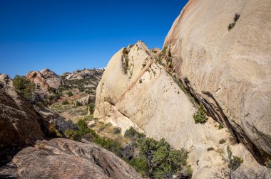 Utah ve Colorado 'daki Dinozor Ulusal Anıtı