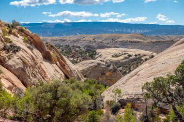 Utah ve Colorado 'daki Dinozor Ulusal Anıtı