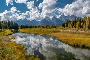 Schwabacher Landing 'in sulak alanlarından uzakta Grand Tetons' un çok güzel bir manzarası var..