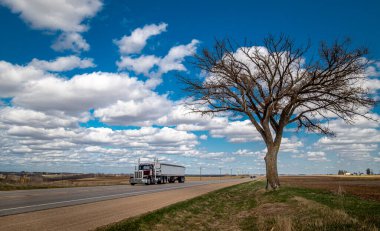 Yerel ünlü Umut Ağacı 18. otoyolun yanında duruyor. Drifless Bölgesi 'nin doğusunda, yoldan geçen bir kamyonla birlikte..