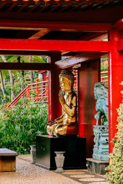 Buddha bahçede, Tayland 'da