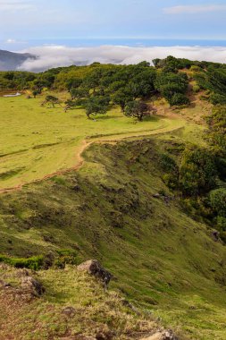 Dağlı yeşil tepelerin manzarası