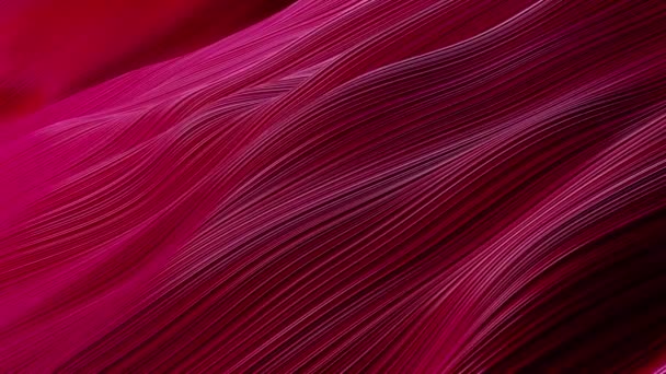Schöner Abstrakter Hintergrund Von Wellen Auf Der Oberfläche Farbverläufen Extrudierten — Stockvideo