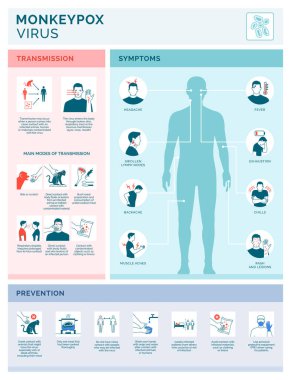 Monkeypox virus transmission, symptoms and prevention vector infographic with icons clipart