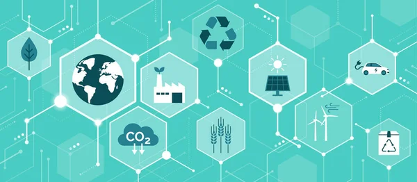 Ökologie Nachhaltigkeit Und Umweltschutz Konzeptioneller Abstrakter Hintergrund Mit Symbolen Netzwerk — Stockvektor