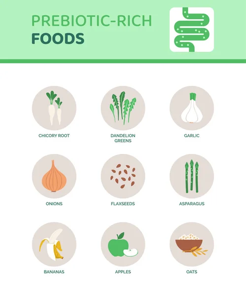 Alimenti Ricchi Prebiotici Che Aiutano Digestione Infografica Con Icone — Vettoriale Stock