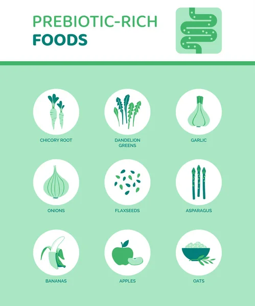 Alimentos Ricos Prebióticos Que Ajudam Digestão Infográfico Com Ícones —  Vetores de Stock
