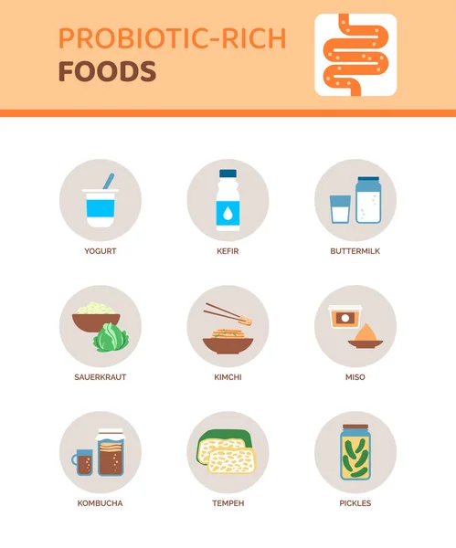 益生菌丰富的食物 以改善消化健康 信息与图标 — 图库矢量图片