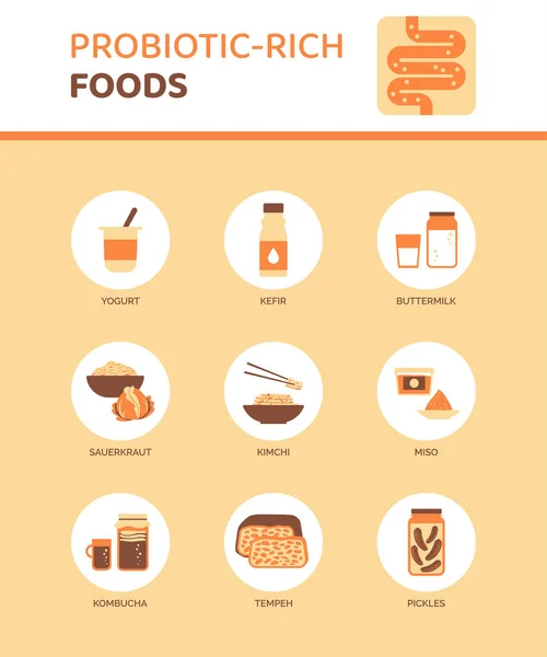 Bogata Probiotyki Żywność Dla Lepszego Zdrowia Trawiennego Infografika Ikonami — Wektor stockowy