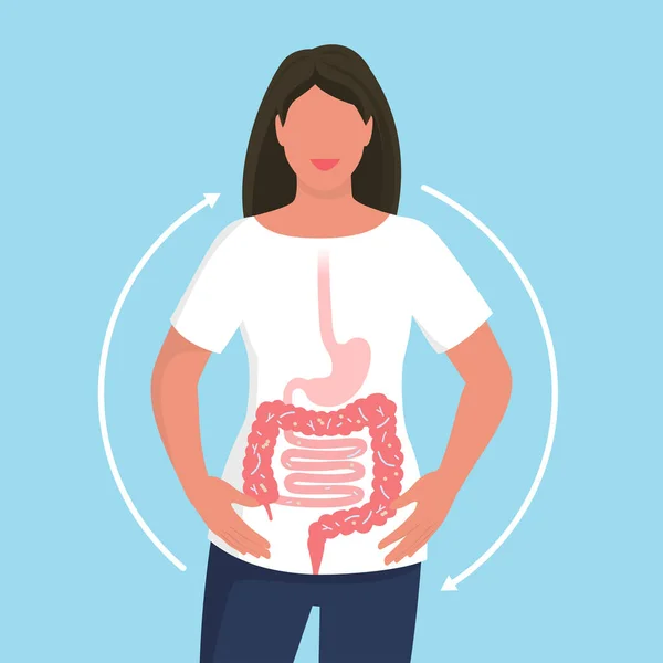バランスのとれた腸内細菌叢と健康な腸を持つ幸せな女性 — ストックベクタ