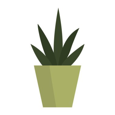 Dekoratif vazodaki güzel bitki örtüsü izole edilmiş, bahçe ve bitki konsepti.