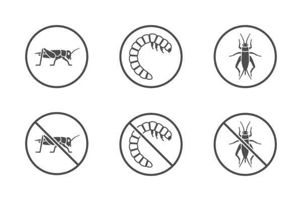 Maison Grillon Ver Farine Insectes Icônes — Image vectorielle