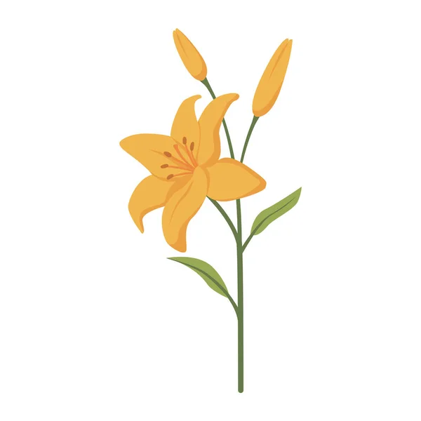 Beautiful Yellow Lily Isolated Flowers Gardening Concept — Stock Vector
