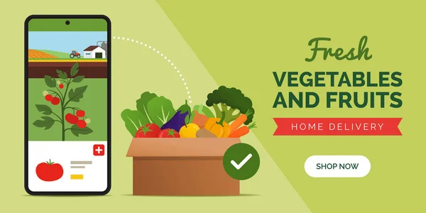 農家から直接オンラインで農場の新鮮な野菜や果物を購入する スマートフォンアプリとコピースペースのバナー 新鮮な緑のフルボックス — ストックベクタ