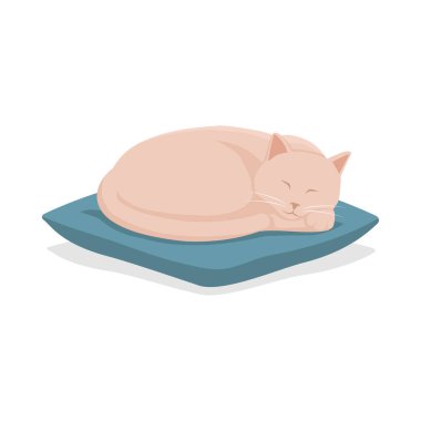 Yastığın üzerinde uyuyan sevimli kedi, evcil hayvan konsepti.