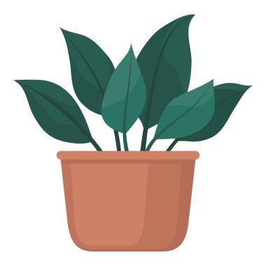 Kil kaptaki yemyeşil bitki, bahçe ve ev dekorasyonu konsepti, izole edilmiş.